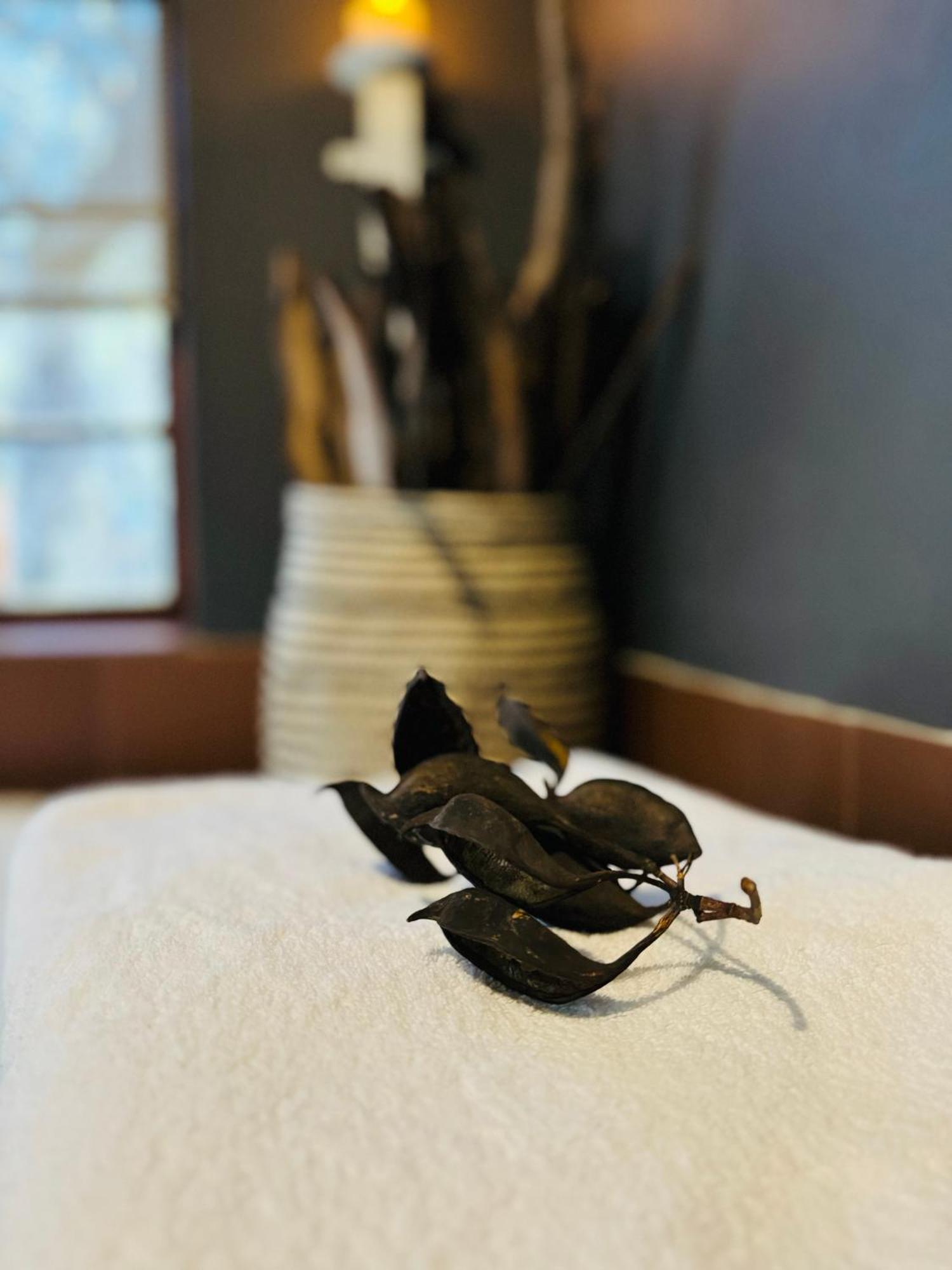 Megumi - Vaal Riverside Retreat - Loadshedding Friendly Parys Zewnętrze zdjęcie